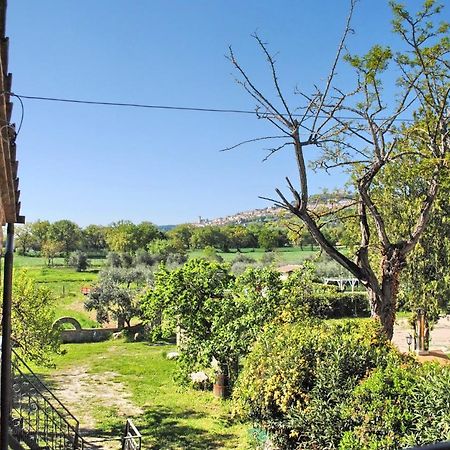 B&B Torrematta Assisi Eksteriør billede