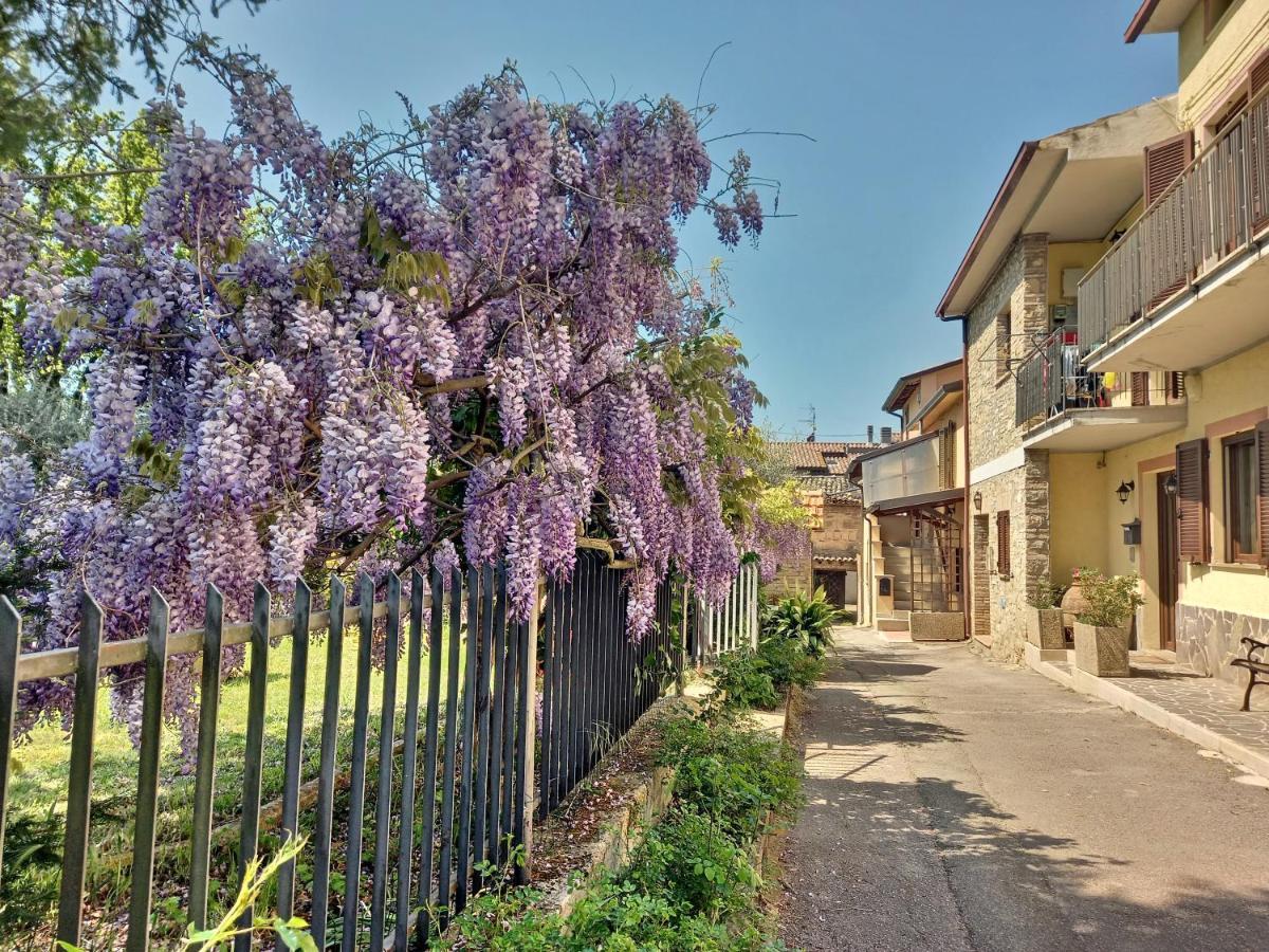 B&B Torrematta Assisi Eksteriør billede