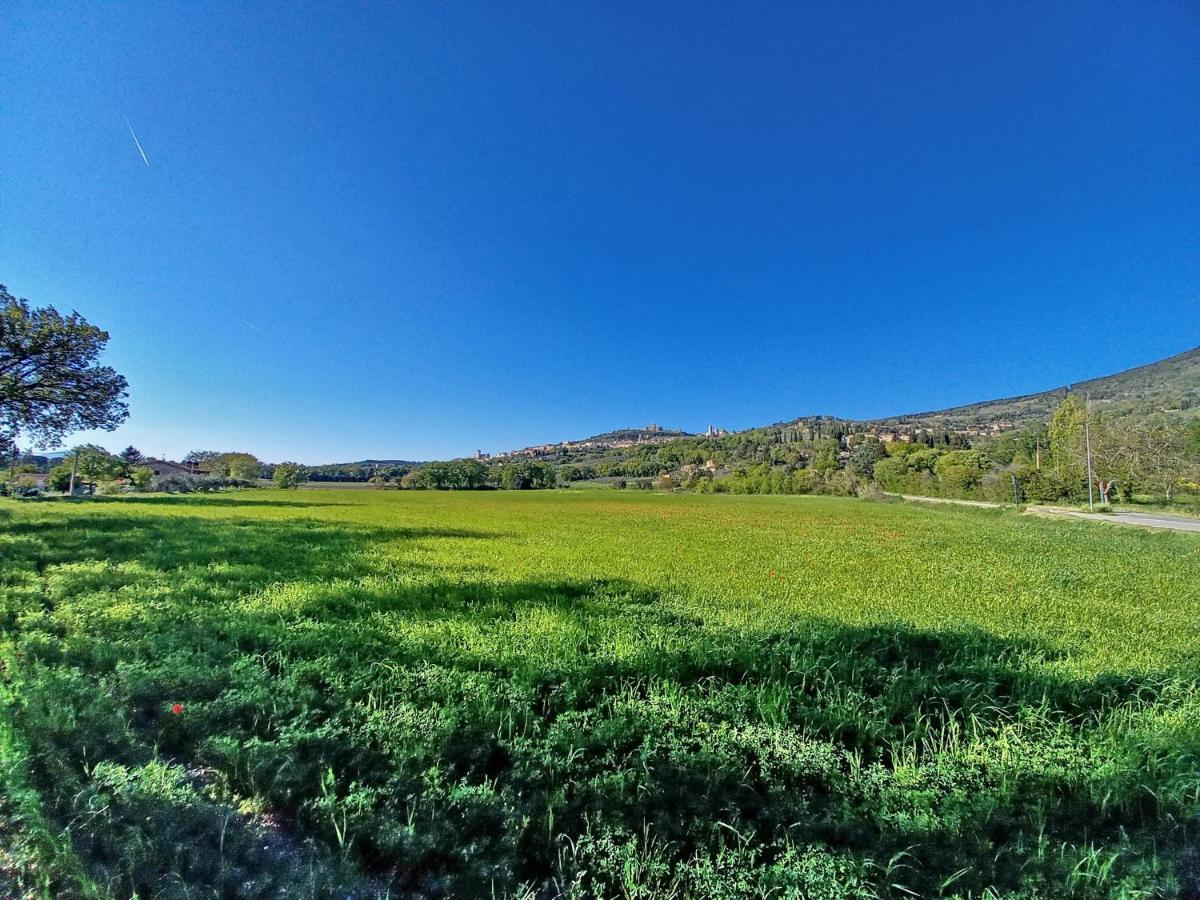 B&B Torrematta Assisi Eksteriør billede