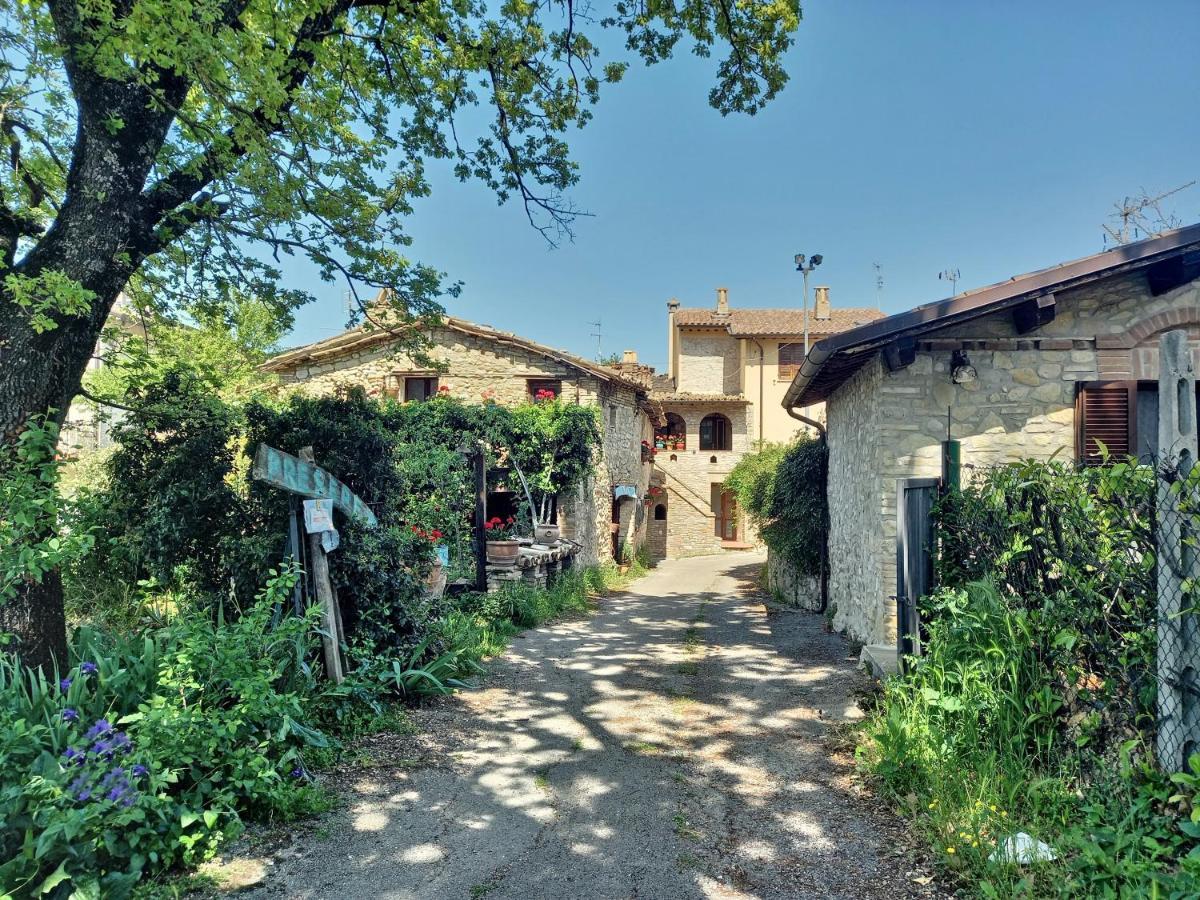 B&B Torrematta Assisi Eksteriør billede