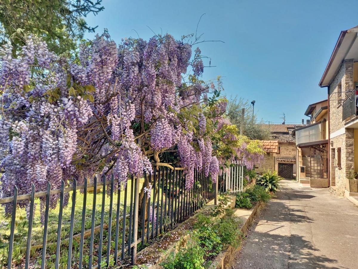B&B Torrematta Assisi Eksteriør billede