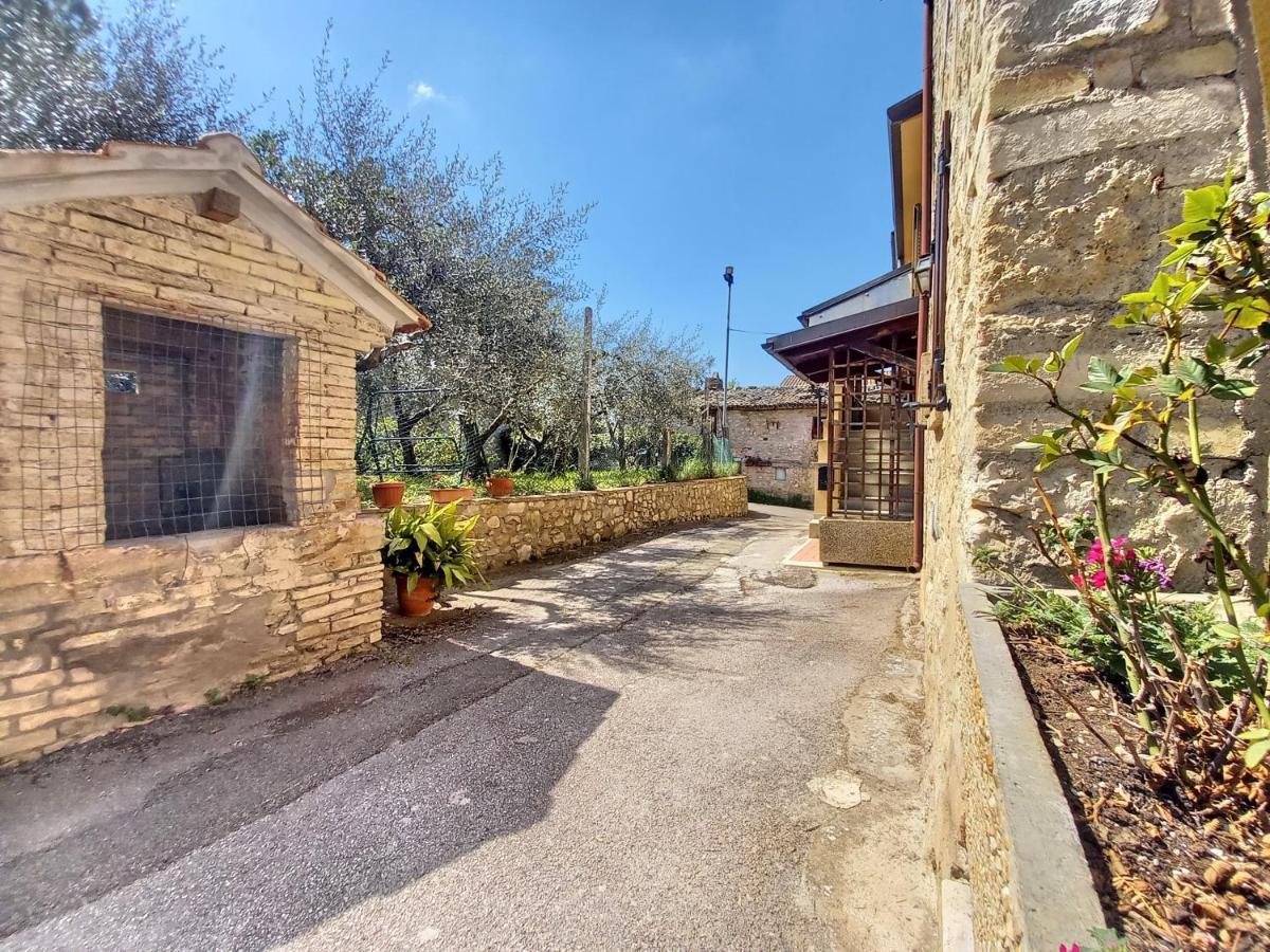 B&B Torrematta Assisi Eksteriør billede
