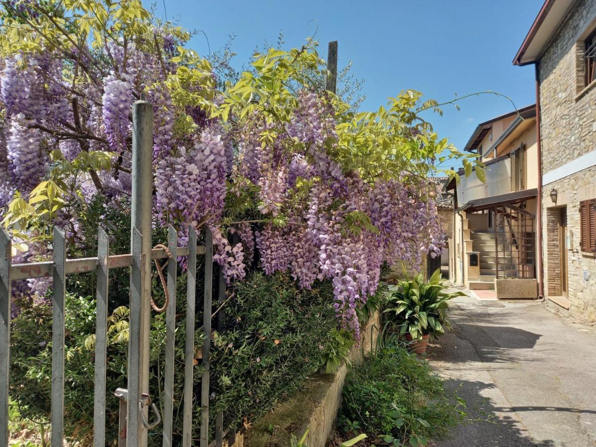 B&B Torrematta Assisi Eksteriør billede