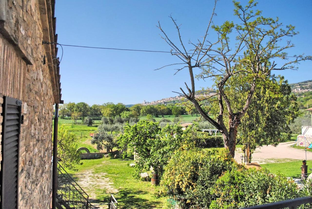 B&B Torrematta Assisi Eksteriør billede
